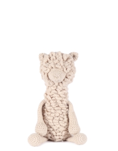 Quin the Huacaya Alpaca