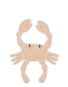 Jimmy the Atlantic Crab