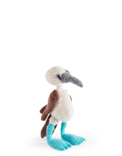 Vince the Blue Footed Booby