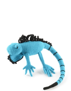 Euripides the Blue Iguana