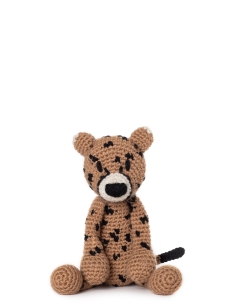 Hamlet the Cheetah