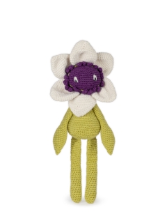 Clematis