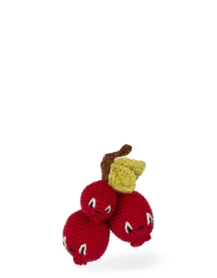 Sprig of Cranberries