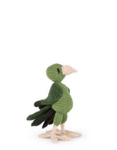 Mele the Pacific Parakeet