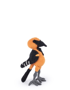 Santiago the Altamira Oriole
