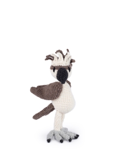 Struan the Osprey