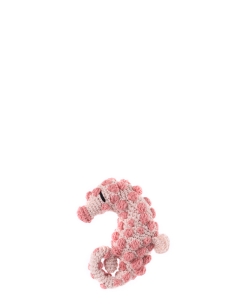 Finlay the Pygmy Seahorse