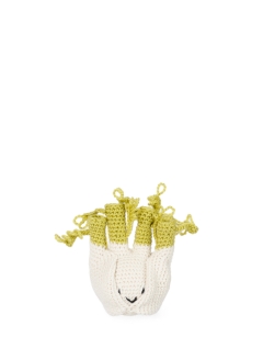 Fennel