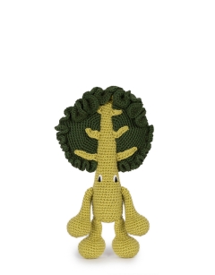 Curly Kale
