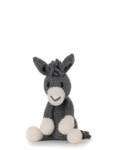 Angharad the Donkey