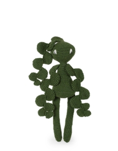 Fishbone Cactus