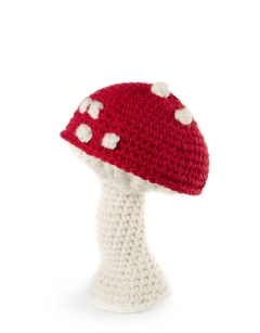 Giant Cap Toadstool