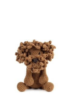 Napoleon the Labradoodle