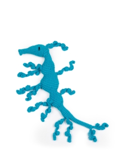 Piper the Leafy Sea Dragon