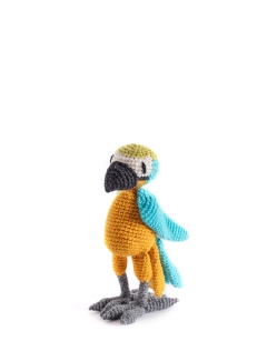 Jack the Macaw