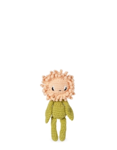 Mini Chrysanthemum