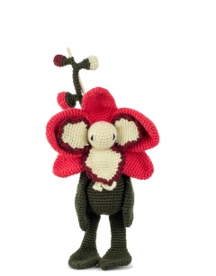 Blush Moth Orchid