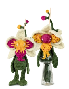 Orchidarium Bundle