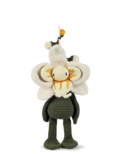 Splash Moth Orchid