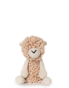 Everett the Romney Sheep