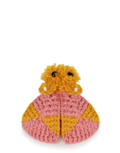 Nova the Rosy Maple Moth