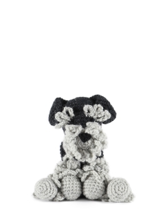 Madeline the Schnoodle