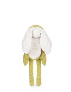Snowdrop
