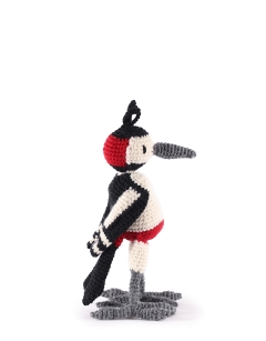 John the Spotted Woodpecker 