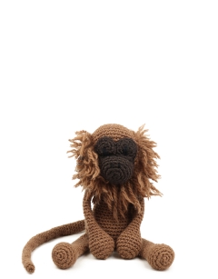 Abel the Howler Monkey 