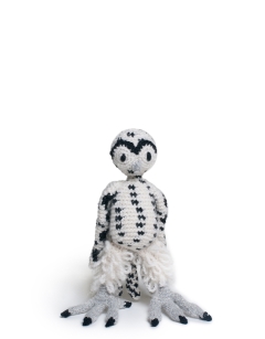 Anik the Snowy Owl
