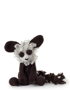 Kirsty the Aye-Aye