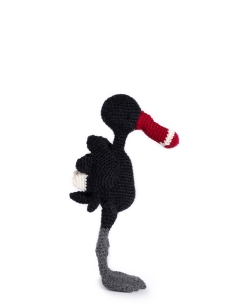 Darcey the Black Swan