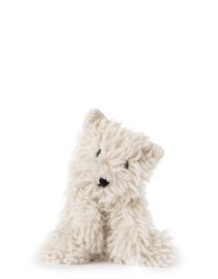 Nousha the Persian Cat