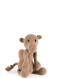 Erica the Dromedary Camel