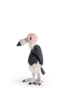 Emily the Vulture