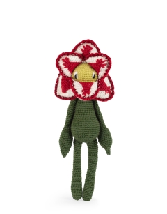 Beaded Amaryllis