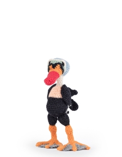 Calder the King Eider Duck