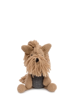 Dorothy the Yorkshire Terrier