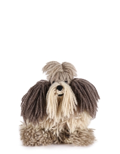 Doris the Shih Tzu