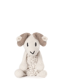 Bryn the Welsh Mountain Sheep