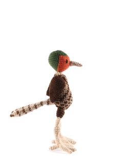 Gilbert the Pheasant