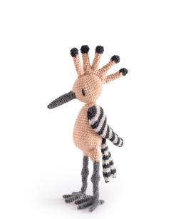 Jacob the Hoopoe