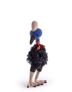 Kevin the Cassowary
