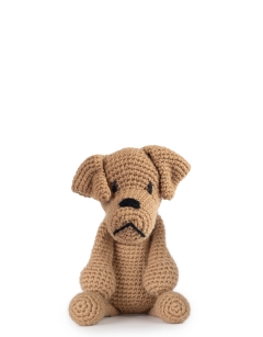 Lyon the Dogue de Bordeaux