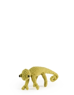 Mini Kerry the Chameleon
