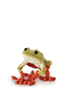 Guell the Morelet's Tree Frog