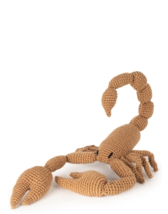 Blair the Scorpion
