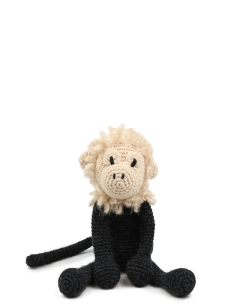 Theodor the Capuchin Monkey