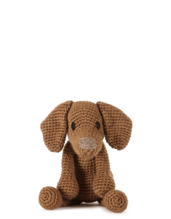 Bernadette the Vizsla