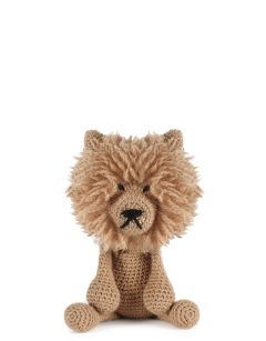 Wenni the Chow Chow
